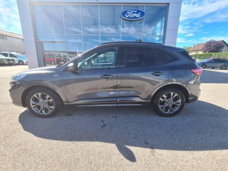 FORD Kuga 2.0 EcoBlue 150ch mHEV ST-Line à vendre à Oyonnax - Image n°8