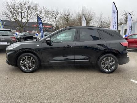 FORD Kuga 2.5 Duratec 190ch FHEV ST-Line BVA à vendre à Beaune - Image n°8